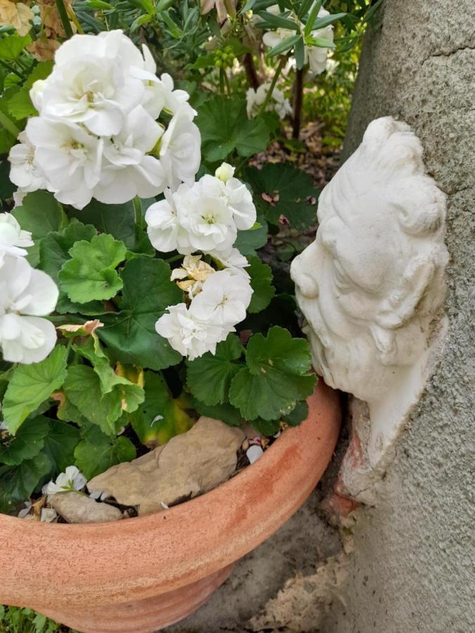 Monti Guesthouse Monti di Licciana Nardi Dış mekan fotoğraf
