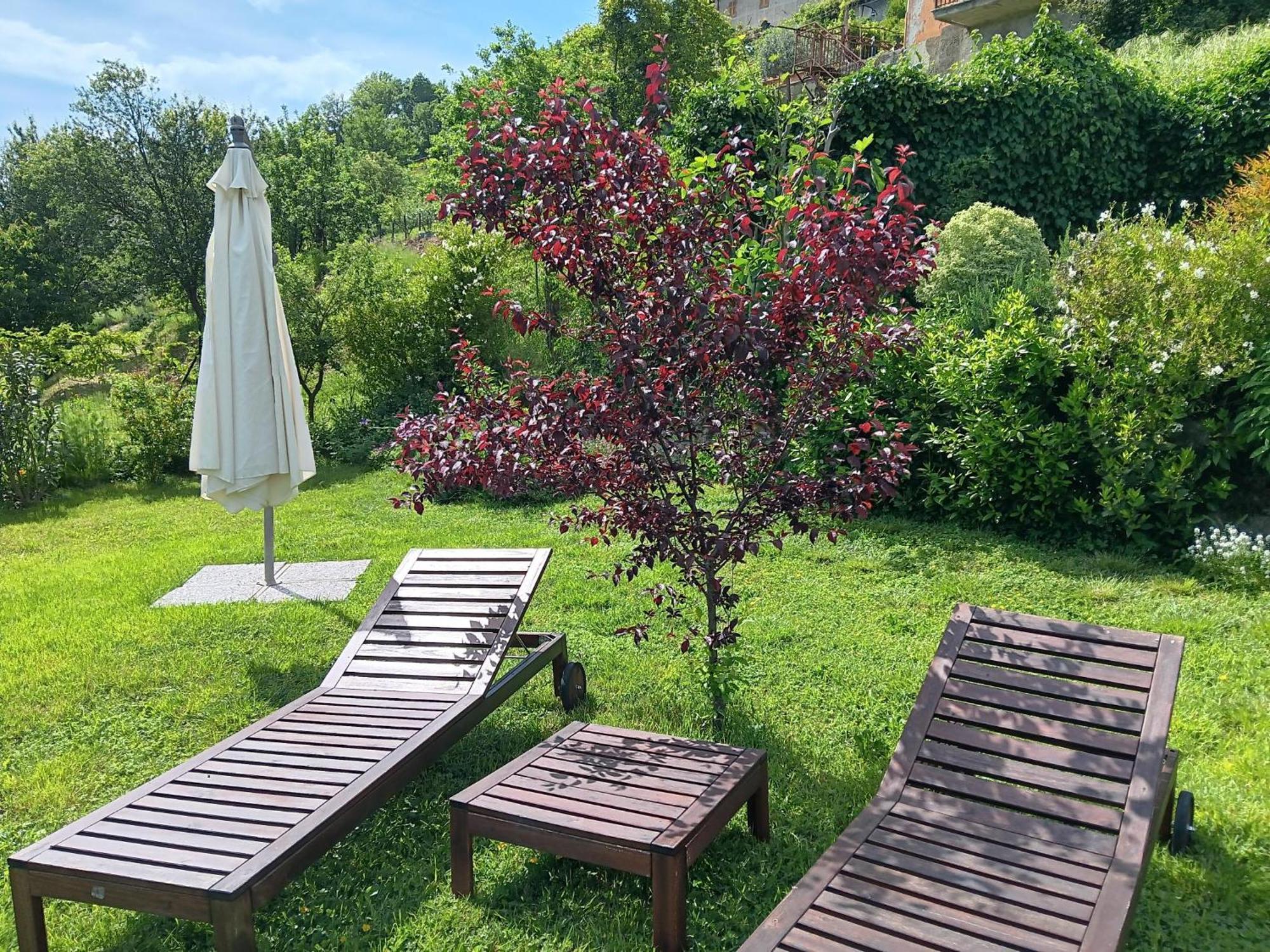 Monti Guesthouse Monti di Licciana Nardi Dış mekan fotoğraf
